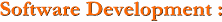 Software Development