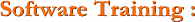 Software training